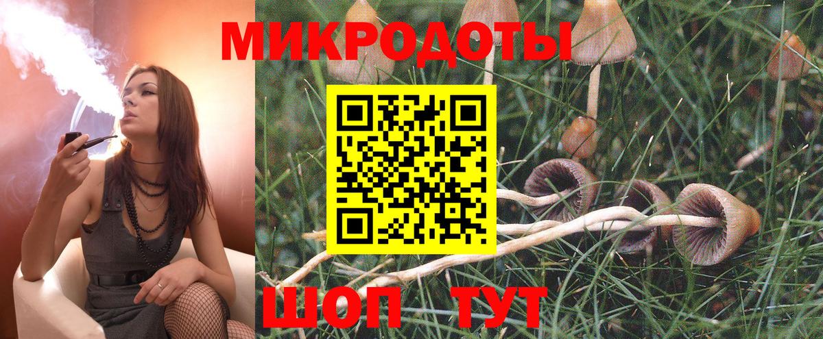 Тамбов  Галлюциногенные грибы мицелий  Псилоцибиновые грибы Psilocybine cubensis  Вход с VPN 