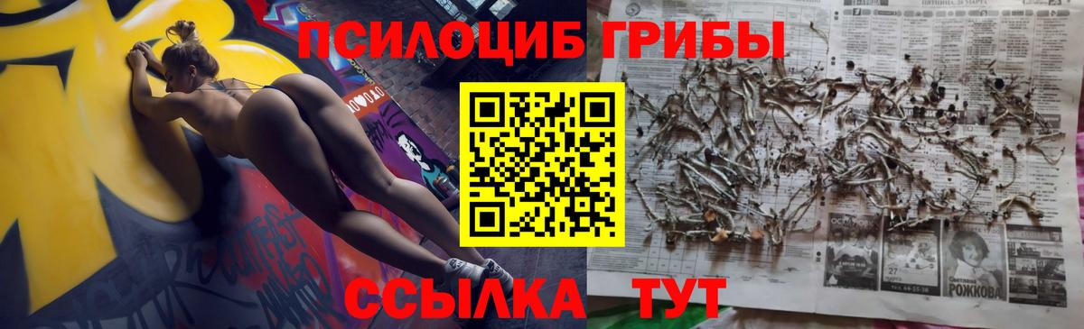 Галлюциногенные грибы ЛСД Тамбов